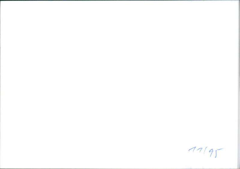 Jaguar Sovereign 4.0 - Vintage Photograph