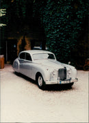 1951-1957 Jaguar MK VII - Vintage Photograph