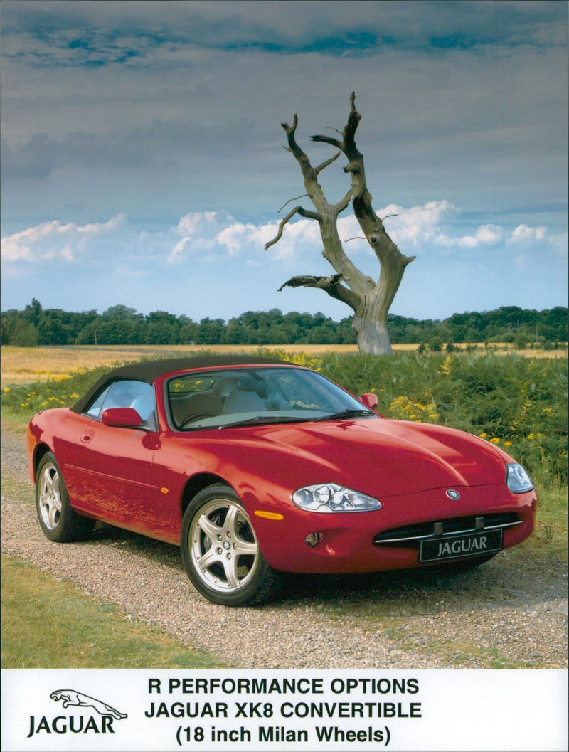Jaguar XK8 Convertible - Vintage Photograph