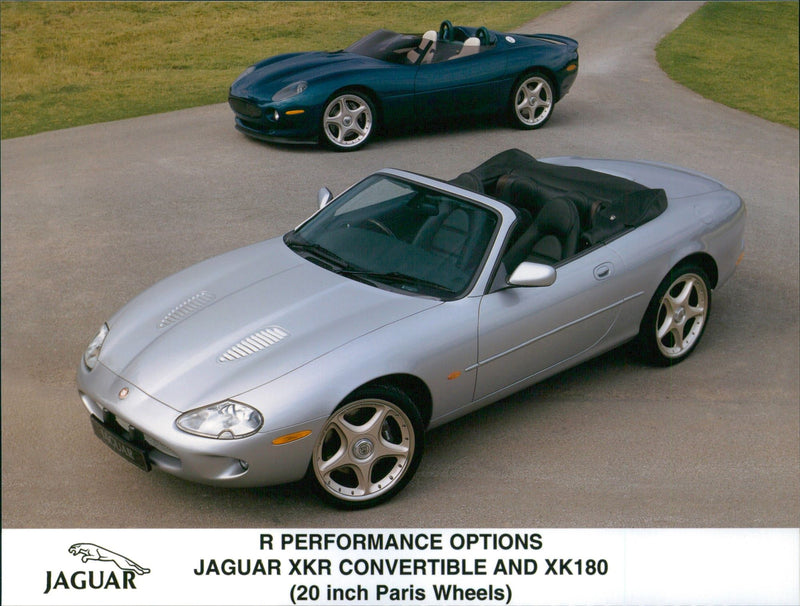 Jaguar - Vintage Photograph
