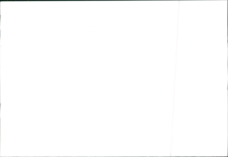 The Prisma Series - Vintage Photograph