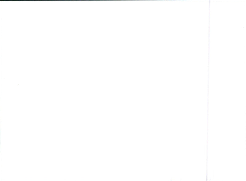 Honda VTEC - Vintage Photograph