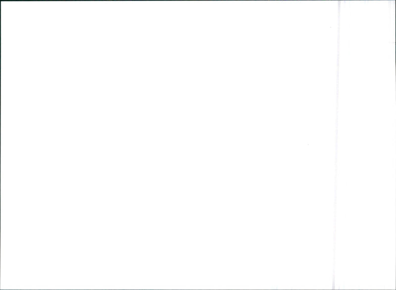 Honda CRX/Civic 1.6 i-VT - Vintage Photograph