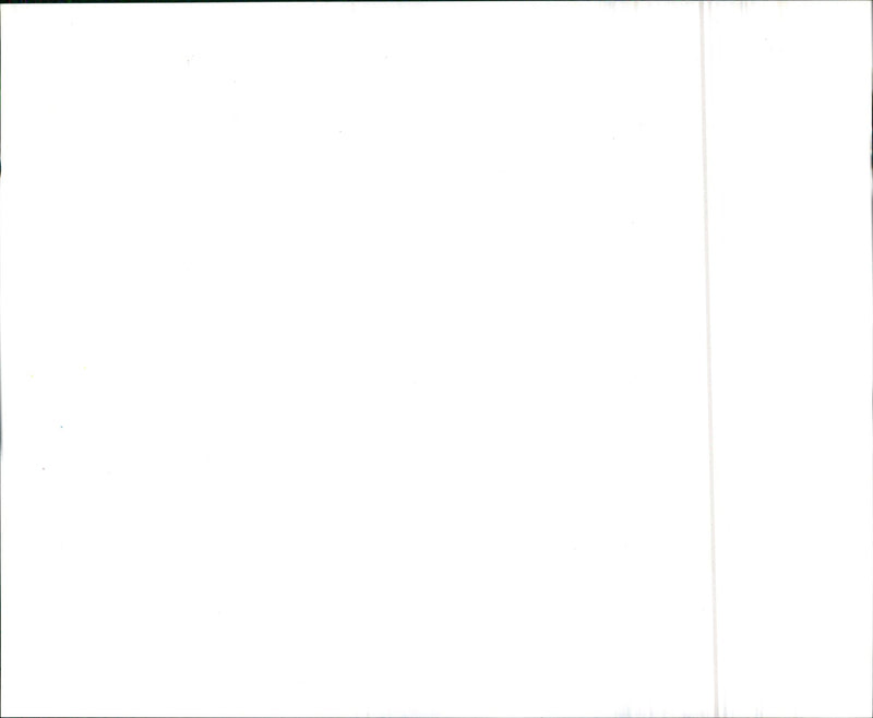 VW - Vintage Photograph