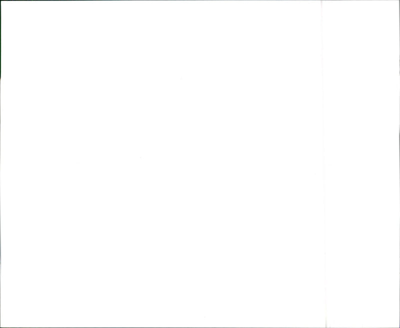 VW - Vintage Photograph