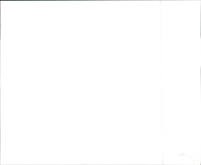 VW - Vintage Photograph