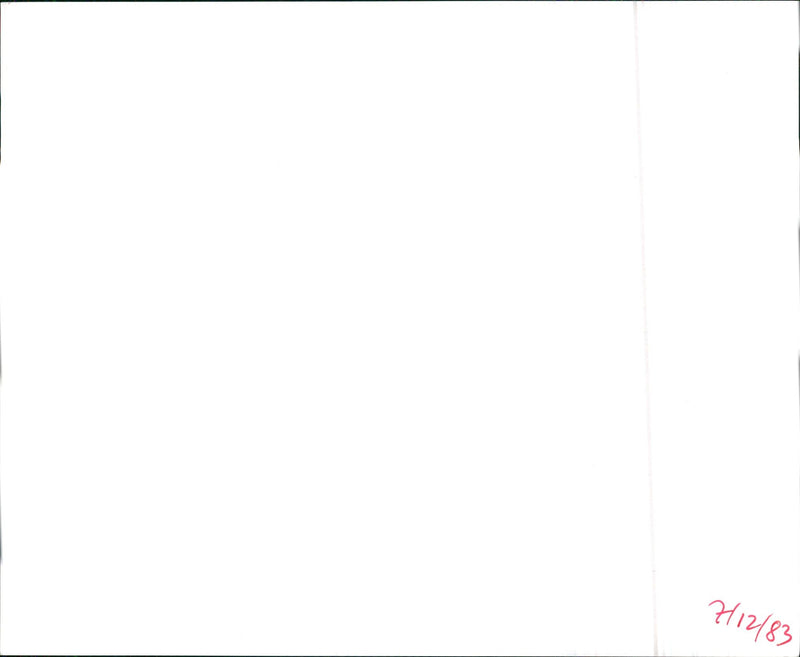 VW - Vintage Photograph