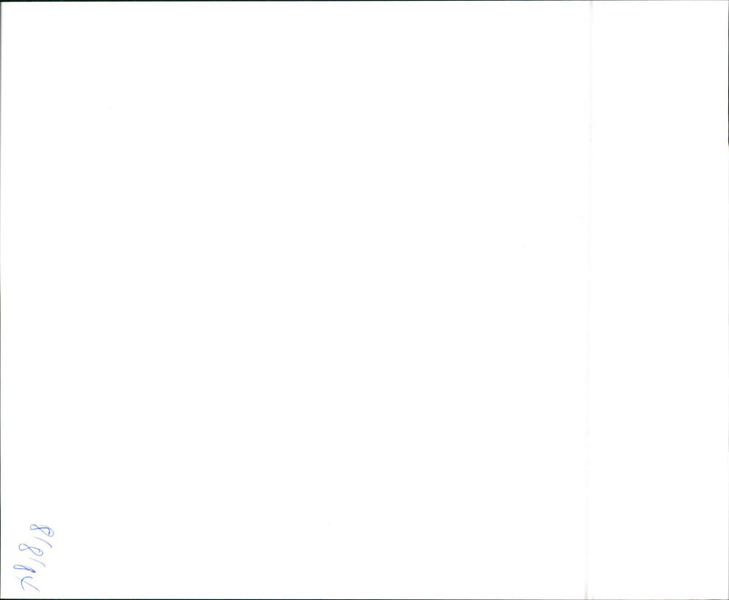 VW - Vintage Photograph