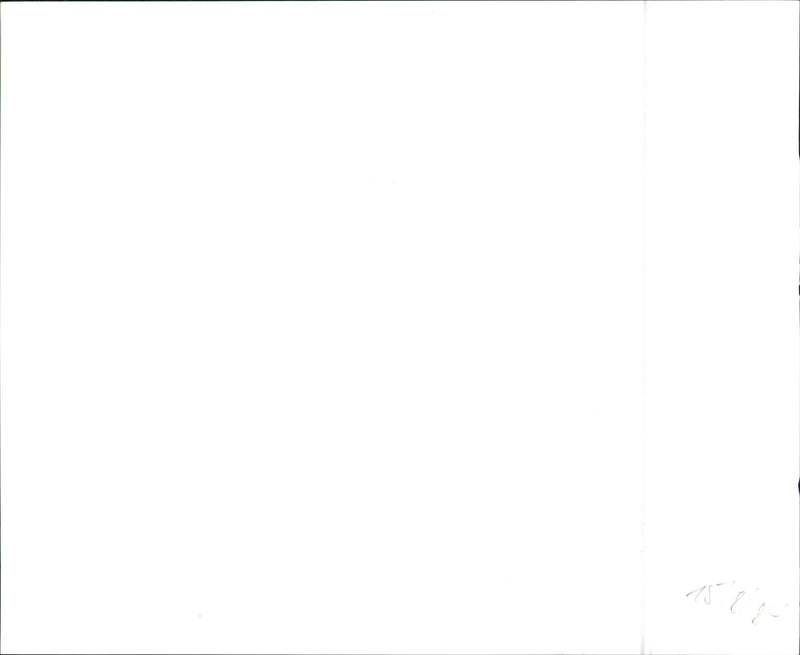 VW - Vintage Photograph