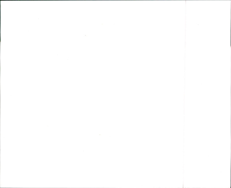 VW - Vintage Photograph