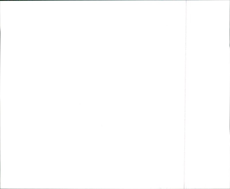 VW - Vintage Photograph