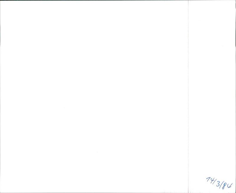 VW and Audi - Vintage Photograph