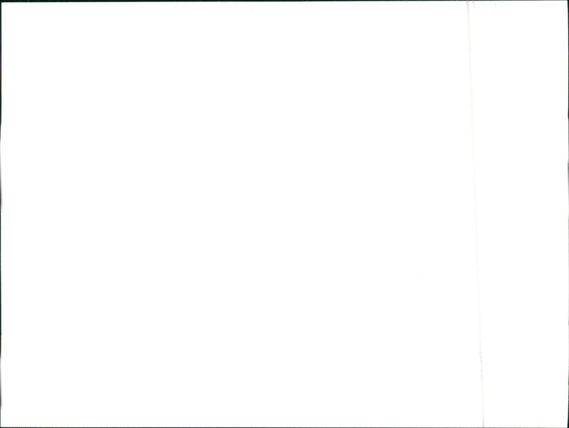 1999 Seat Leon - Vintage Photograph