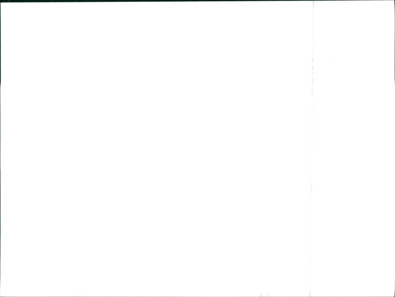 1999 Seat Leon - Vintage Photograph