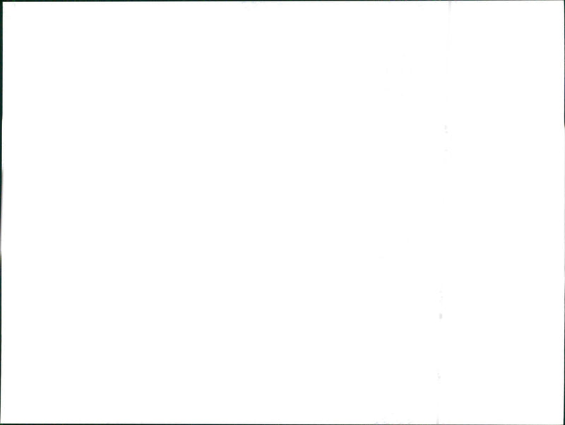 1999 Seat Leon - Vintage Photograph