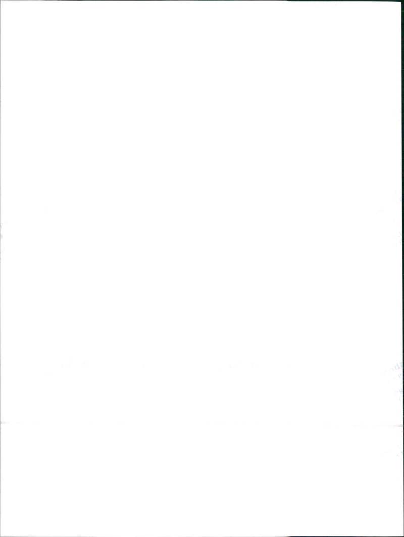 1999 Seat Leon - Vintage Photograph