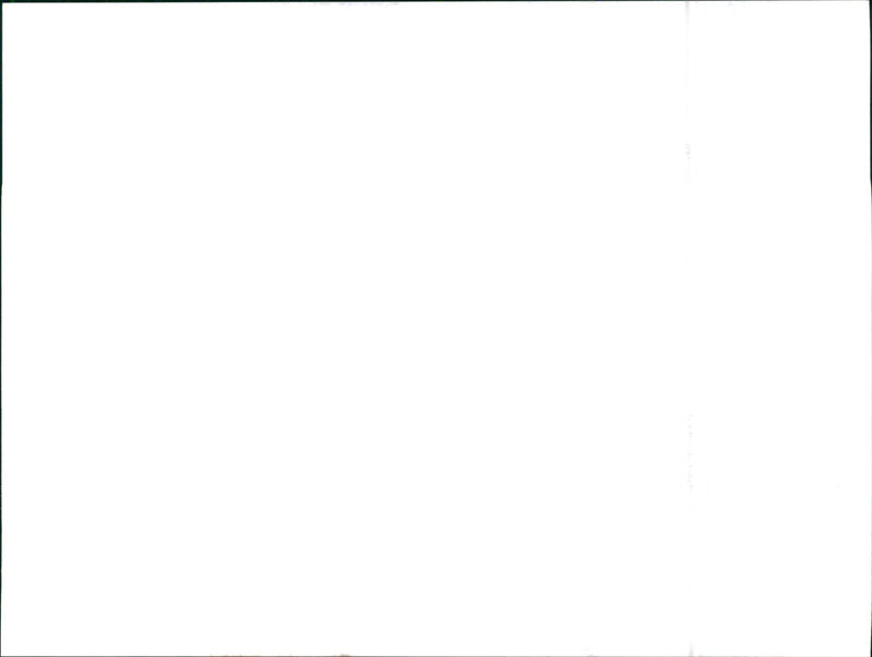 1999 Seat Leon Engine - Vintage Photograph