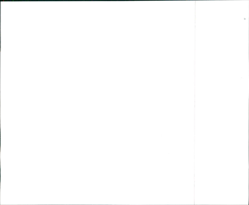 Toyota 4Runner - Vintage Photograph