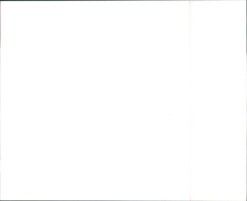 Dodge Dakota Convertible - Vintage Photograph