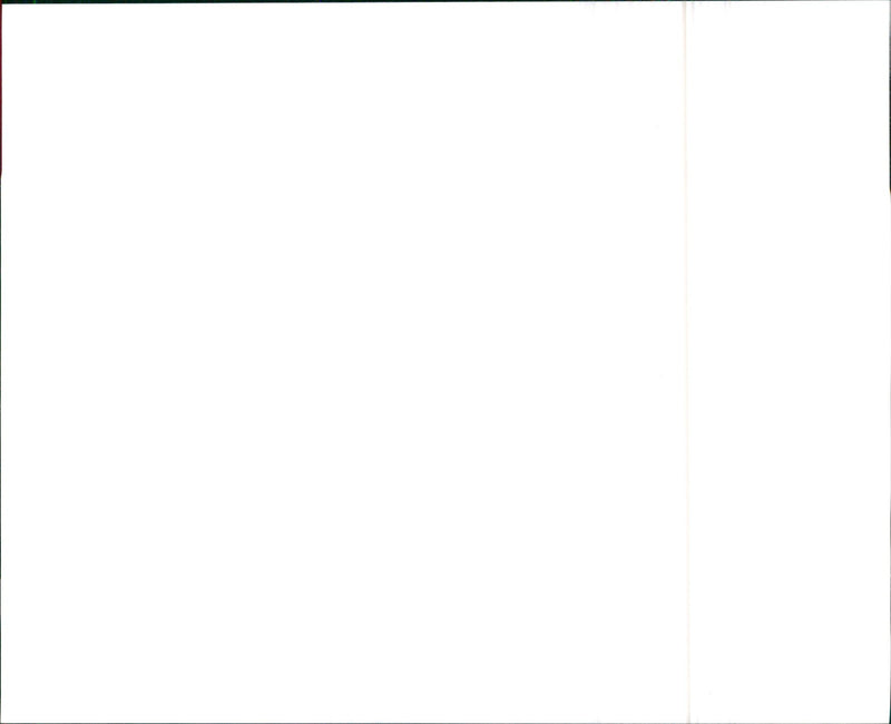 ASC Firebird Suntour - Vintage Photograph