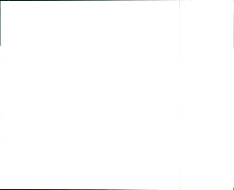 Nissan 300ZX PPG Twin Turbo Pace car - Vintage Photograph