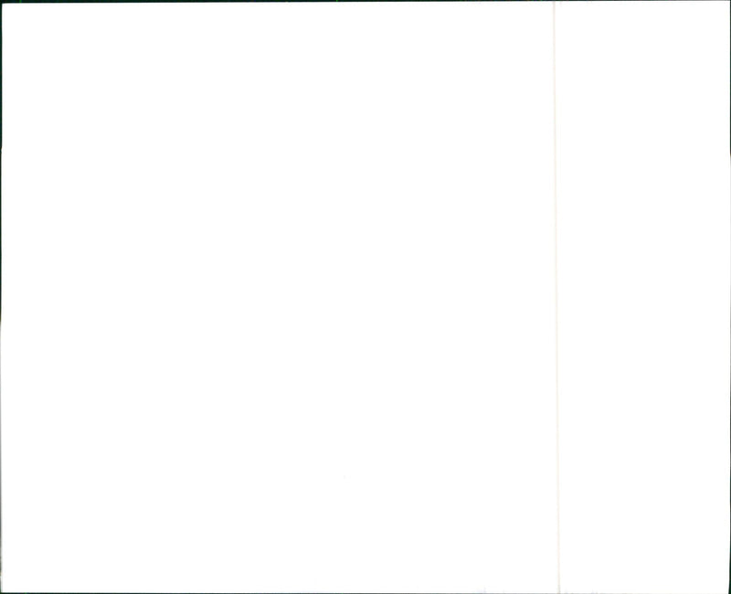 ASC Firebird Suntour - Vintage Photograph