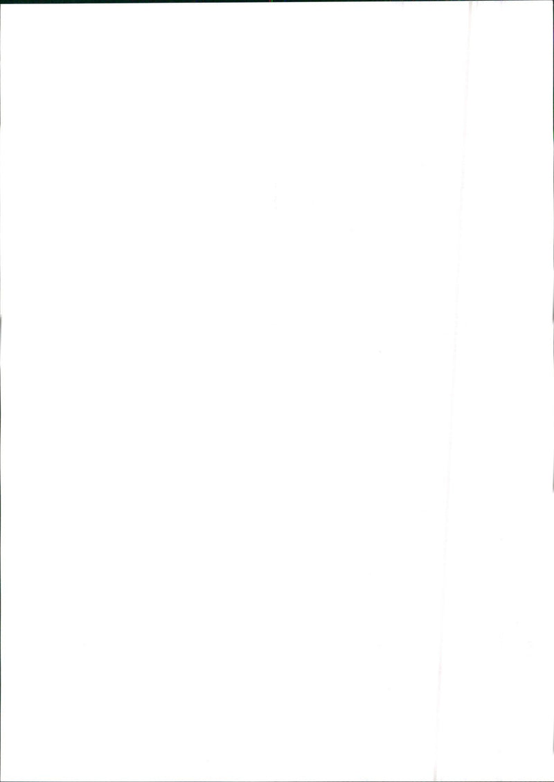 1987 Alfa Romeo 75 - Vintage Photograph