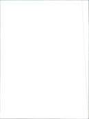 Alfa Romeo 75 turbo - Vintage Photograph