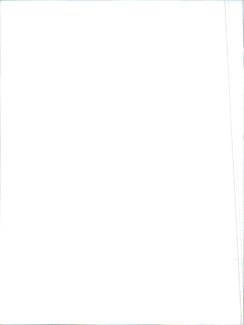 Alfa Romeo 75 turbo - Vintage Photograph