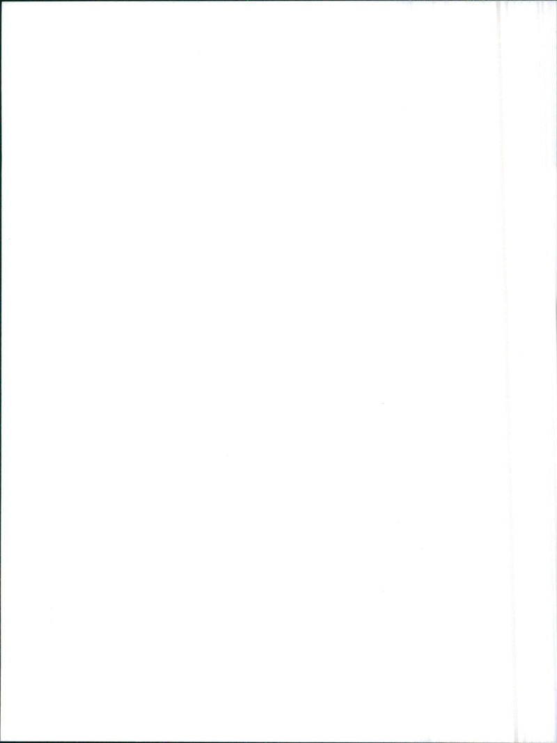 Alfa Romeo 75 turbo - Vintage Photograph