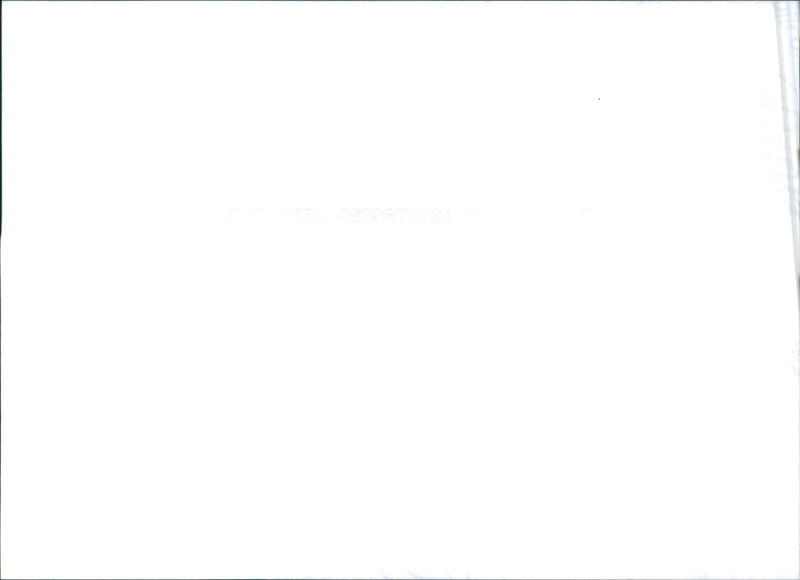 Hyundai Terracan - Vintage Photograph