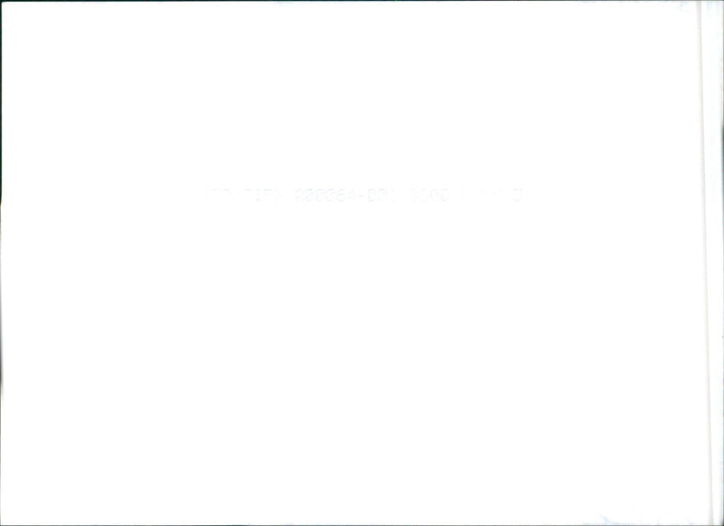 Hyundai Terracan - Vintage Photograph