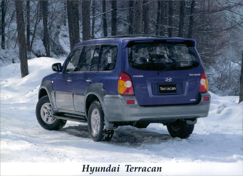 Hyundai Terracan - Vintage Photograph