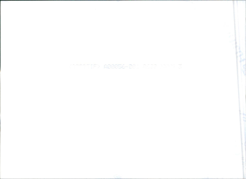 Hyundai Terracan - Vintage Photograph