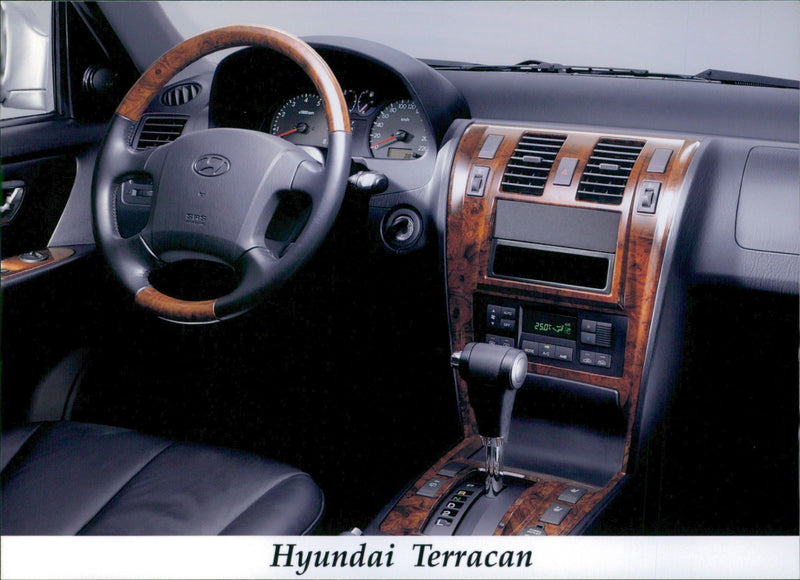 Hyundai Terracan - Vintage Photograph