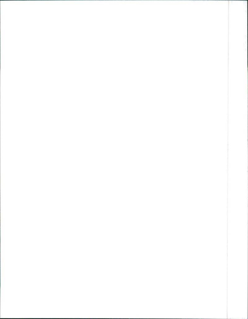 1988 Alfa Romeo 75 Twin Spark - Vintage Photograph