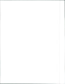 1988 Alfa Romeo 164 Turbo - Vintage Photograph