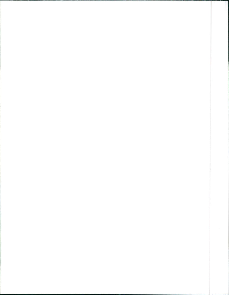 1988 Alfa Romeo 164 Turbo - Vintage Photograph