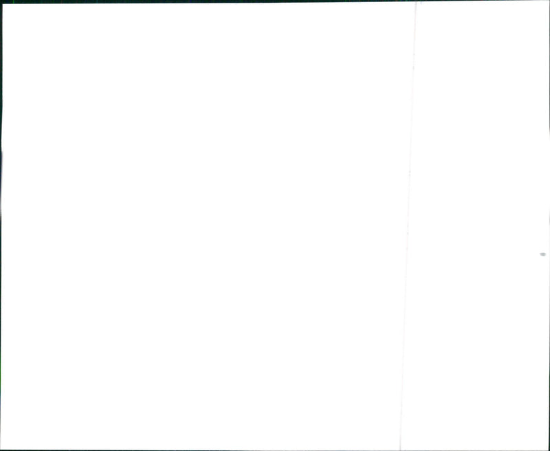 1996 Hyundai Elantra Wagon - Vintage Photograph