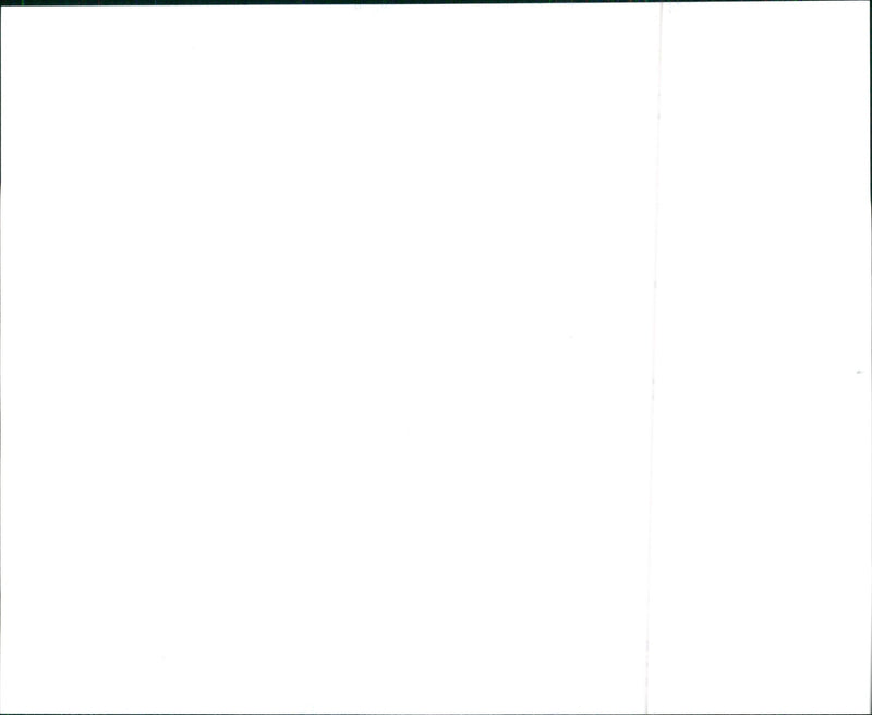 1996 Hyundai Elantra Wagon - Vintage Photograph