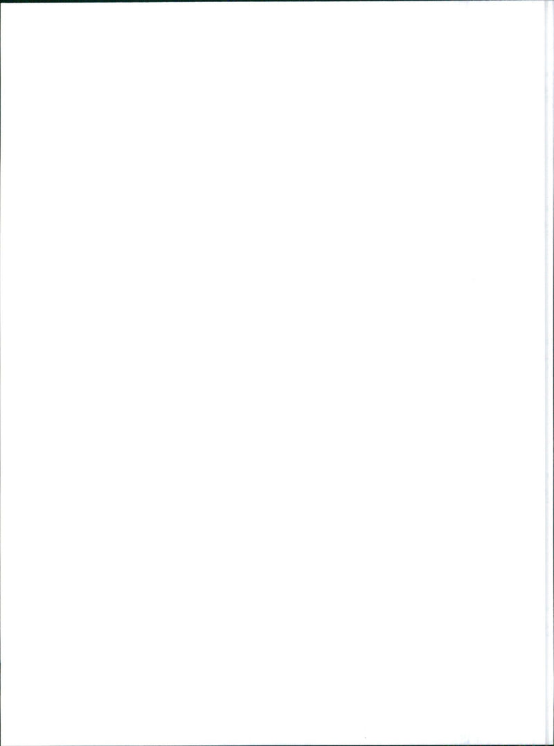 1988 Alfa Romeo 75 1.8 IE - Vintage Photograph