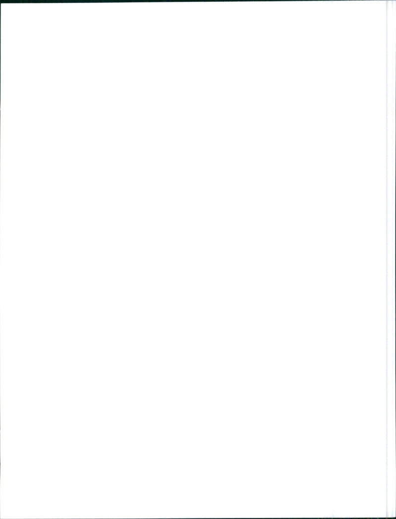 1988 Alfa Romeo 75 2.4 TD - Vintage Photograph