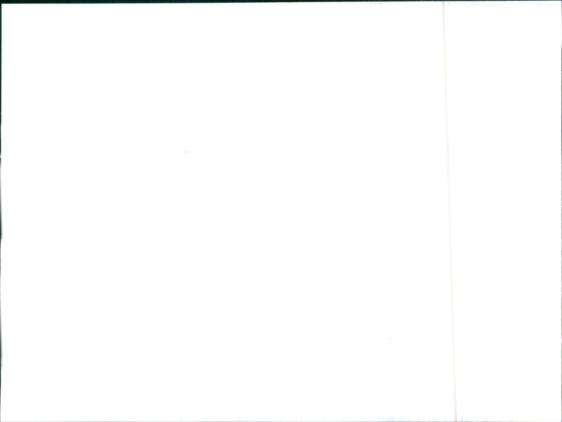 1987 Lancia Thema Station Wagon td - Vintage Photograph