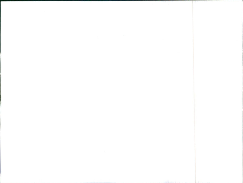 1987 Lancia Thema Station Wagon td - Vintage Photograph