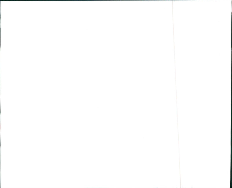 1998 Suzuki Esteem Wagon - Vintage Photograph