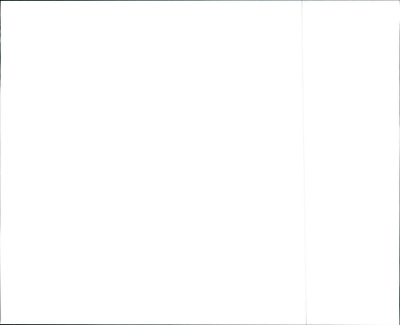 1997 Suzuki Esteem - Vintage Photograph