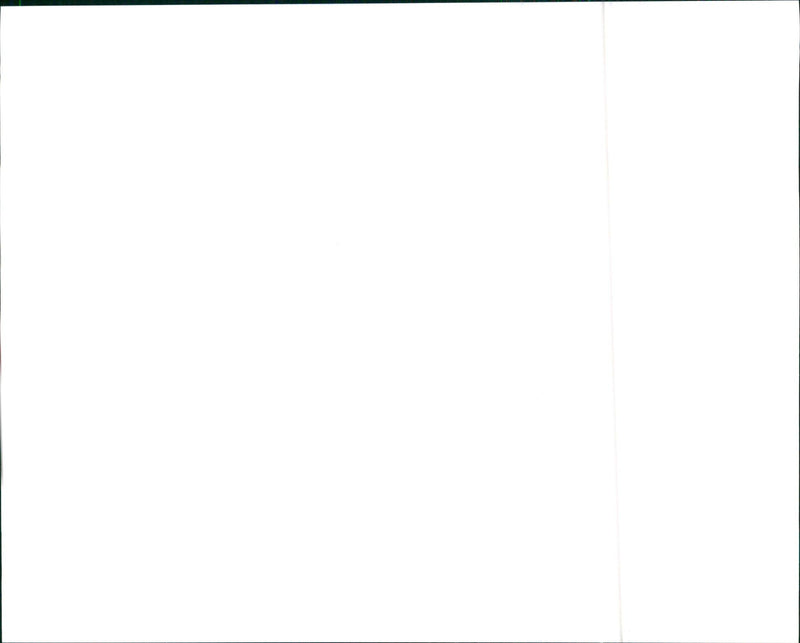 1997 Suzuki Swift - Vintage Photograph