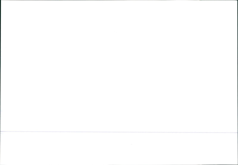 1995 Skoda Felicia - Vintage Photograph