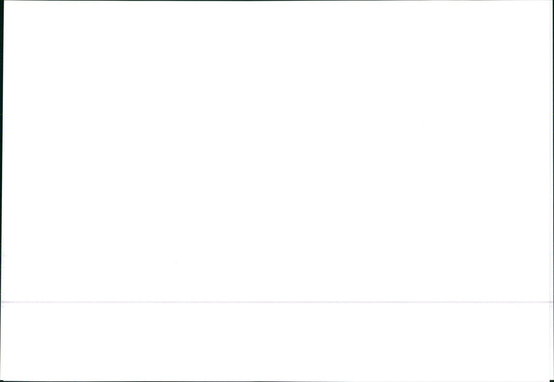 1995 Skoda Felicia - Vintage Photograph