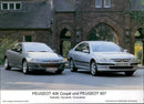 Peugeot 406 Coupe and Peugeot 607 - Vintage Photograph